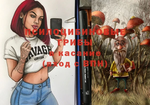 apvp Краснотурьинск