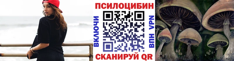 Купить где  Белогорск  Галлюциногенные грибы Psilocybine cubensis 